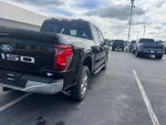 2024 F-150 Thumbnail 11