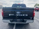 2024 F-150 Thumbnail 12