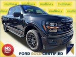 2024 F-150 Thumbnail 7