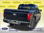 2024 F-150 Thumbnail 10