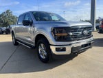 2024 F-150 Thumbnail 6