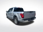 2024 F-150 Thumbnail 6