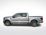 2024 F-150 Thumbnail 8