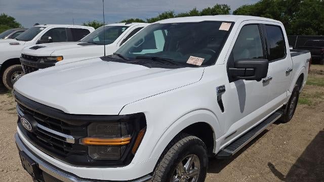 Preowned 2024 Ford F-150 XLT for Sale