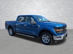 2024 F-150 Thumbnail 2