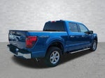 2024 F-150 Thumbnail 5