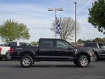 2024 F-150 Thumbnail 3