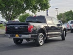 2024 F-150 Thumbnail 4