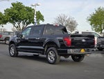 2024 F-150 Thumbnail 6