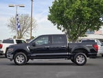 2024 F-150 Thumbnail 7