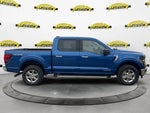 2024 F-150 Thumbnail 14