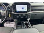 2024 F-150 Thumbnail 19