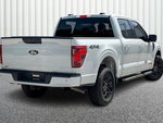 2024 F-150 Thumbnail 12