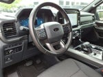 2024 F-150 Thumbnail 19