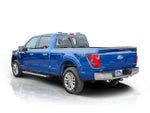 2024 F-150 Thumbnail 5