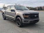 2024 F-150 Thumbnail 2