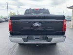 2025 F-150 Thumbnail 4
