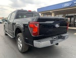 2025 F-150 Thumbnail 7
