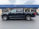 2025 F-150 Thumbnail 8