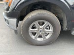 2025 F-150 Thumbnail 24