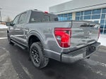 2025 F-150 Thumbnail 7