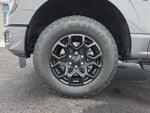 2025 F-150 Thumbnail 18
