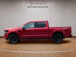 2025 F-150 Thumbnail 8