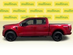 2025 F-150 Thumbnail 12