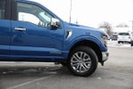 2025 F-150 Thumbnail 8