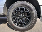 2025 F-150 Thumbnail 6