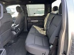 2025 F-150 Thumbnail 12