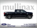 2024 F-150 Thumbnail 2