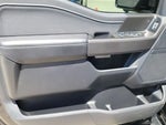 2024 F-150 Thumbnail 8