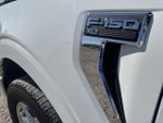2024 F-150 Thumbnail 10