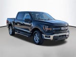 2024 F-150 Thumbnail 5