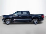 2024 F-150 Thumbnail 16