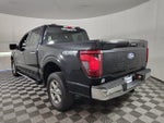 2024 F-150 Thumbnail 5