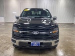 2024 F-150 Thumbnail 8