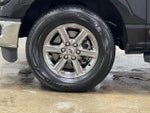 2024 F-150 Thumbnail 12