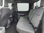 2024 F-150 Thumbnail 12