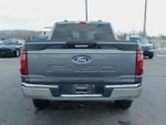 2024 F-150 Thumbnail 8