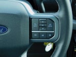2024 F-150 Thumbnail 17