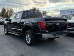 2024 F-150 Thumbnail 4
