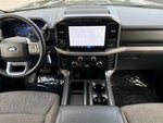 2024 F-150 Thumbnail 13
