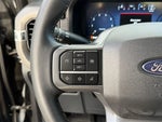 2024 F-150 Thumbnail 19
