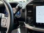 2024 F-150 Thumbnail 21