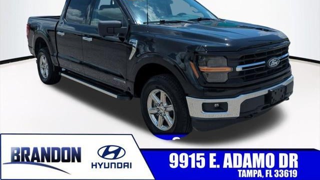 Preowned 2024 Ford F-150 XLT for Sale