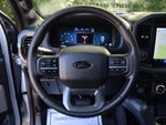 2024 F-150 Thumbnail 4