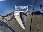 2024 F-150 Thumbnail 8