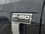 2024 F-150 Thumbnail 6